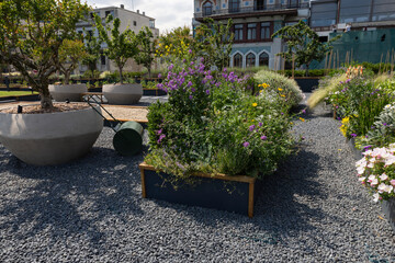 Organic Agriculture, flowers are grown on the building terrace