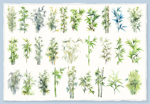 Vector watercolor painted style - bamboo clipart isolated on white background.