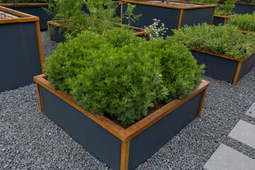 Organic Agriculture on the Building Terrace, vegetables are grown in large pots