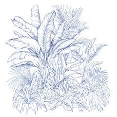 Hand-drawn palm trees and tropical foliage in pencil sketch style. Monochrome botanical design.