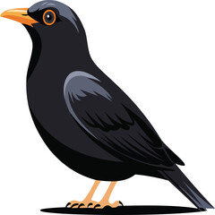 A delightful illustration of a black bird, featuring its sleek feathers and bright orange beak. This design captures the essence of nature and is perfect for wildlife-themed projects.