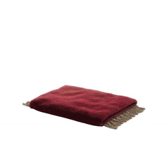 Cozy and stylish red blanket with fringe details, perfect for adding warmth and comfort to any living space. A must-have accessory for winter evenings and home decor enthusiasts.