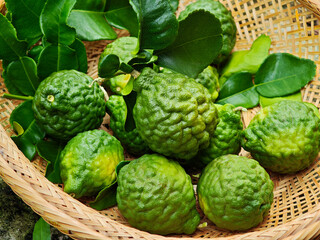 Fresh bergamot in the wooden basket