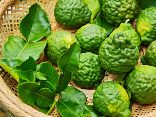 Fresh bergamot in the wooden basket in garden
