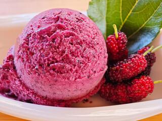 Mulberry Ice Cream in a Cup