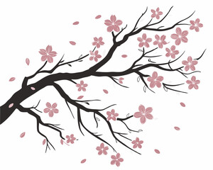 girl with cherry blossom