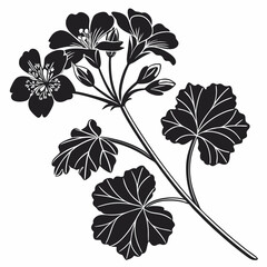 black and white floral design