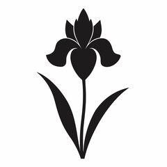 vector illustration of a flower