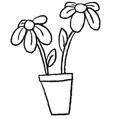 Hand drawn crayon outline of flowers in flower pot for kid colouring book, art, sketch, paint, plants, tree, floral print, nature, garden, sticker, blossom, blooming, spring, summer, house yard, home
