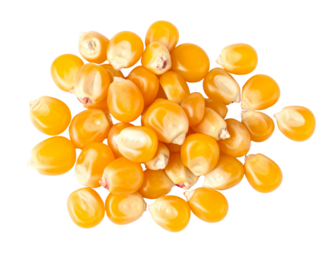 A cluster of yellow popcorn kernels arranged closely together.