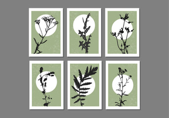 Set of trendy minimalist botanical vector illustration with branch and leaves