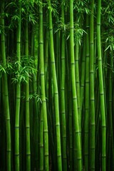 Fototapeta premium Lush Green Bamboo Forest Fills the Landscape With Vibrant Hues in a Tranquil Setting