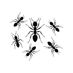 silhouettes of ants in different poses vector  isolated on white background