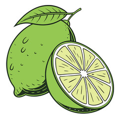 Lime vector icon on white background, icon logo of lime. Adobe Illustrator Artwork