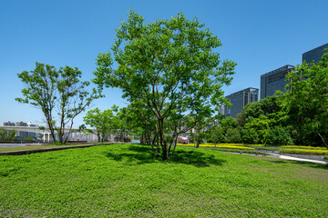 Park Plaza and Office Building of Chongqing International Financial Center, China