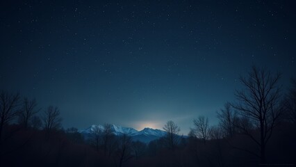 Fototapeta premium Outdoor image of trees on a moonlit night