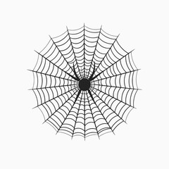 Obraz premium Spiderweb spider halloween web spooky arachnid insect creepy danger fear trap night black scary design silhouette