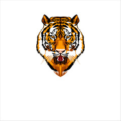 head of tiger 