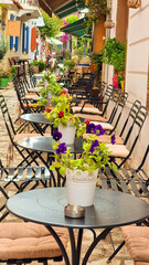 preveza city bougainvillea flowers in summer greece