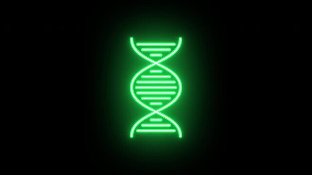 Neon DNA helix icon, flickering emergence and fading. Glowing neon DNA strand icon, looped animation. Gene engineering, DNA mutation, genetic data research, biotechnology. Yellow green orange colors