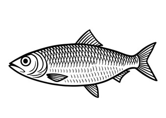 Obraz premium Sketch of herring. Vintage retro drawing in ink style, hand drawn. Vector illustration on white background