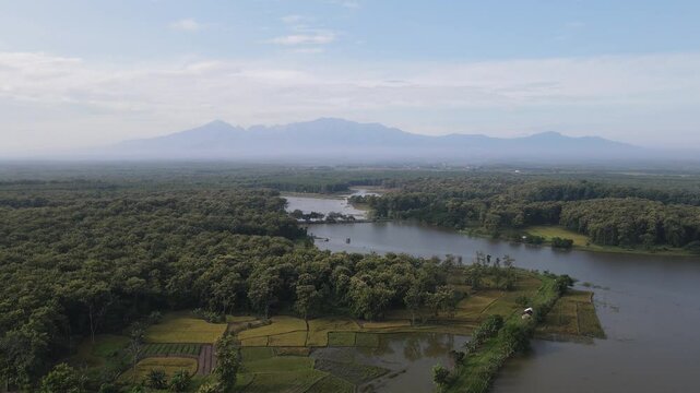 Aerial view of Saradan Lake at Ngawi, Java, Indonesia, on a bright sunny morning day.