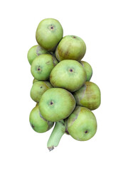 Green natural palm fruit isolated on transparent background, also known as taaler sash or ahari 