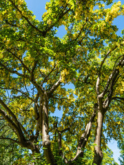 Edinburgh, Scotland, United Kingdom