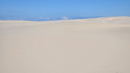 Vast sandy dunes stretch across the landscape of Rabjerg Mile Denmark, creating a serene and tranquil atmosphere.