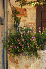 Flowerpots near an old greek house. Pink flowers planted near a Greek house. House of yellow masonry. Traditional village. Housing details