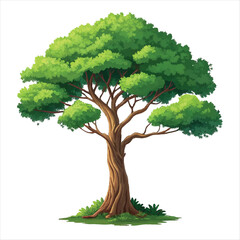  illustration of a lush green tree set with a brown.