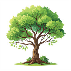  illustration of a lush green tree set with a brown.