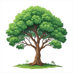  illustration of a lush green tree set with a brown.