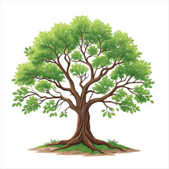  illustration of a lush green tree set with a brown.
