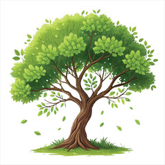  illustration of a lush green tree set with a brown.