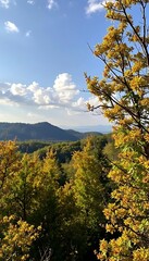 Fototapeta premium Mountain Vista Framed by Autumn Leaves Under a Blue Sky with Clouds.