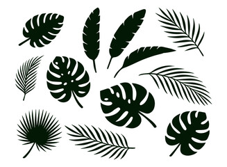 Silhouette of monstera, banana, palm leaves. Vector isolated on white background