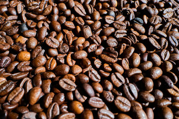 Coffee Beans Delight | Kaffeebohnen Genuss – Frisch geröstet für echte Kaffee-Liebhaber – Perfect Roast for Café & Küche
