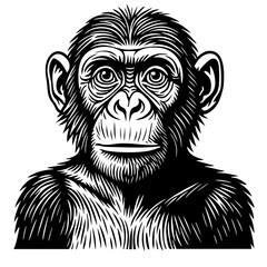 Chimp Vector Black and White Clipart Cut File Svg Silhouette Isolated