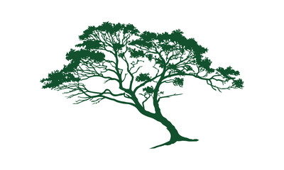 Obraz premium Tree silhouette vector with white background.
