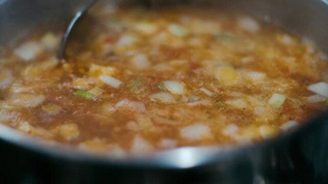 Moldovan Vegetable Soup