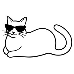 black cat with white background