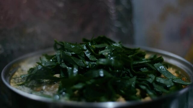 Moldovan Vegetable Soup