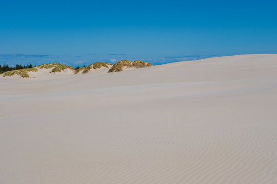 Explore serene sandy dunes under a clear blue sky in Denmarks natural landscape