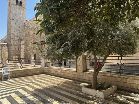 Saladdin Grave