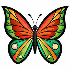 butterfly wing optics colorful vector