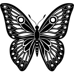 butterfly wing optics vector on white background