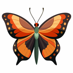 leafwing butterfly vector on white background