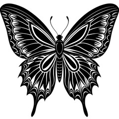 parides tros vector on white background