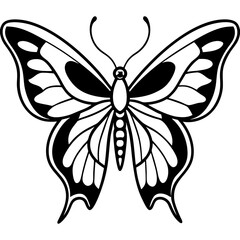 parides tros line art vector on white background